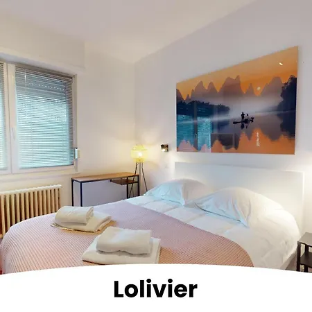 Du General Uhrich - Proche Parlement Apartment Straßburg